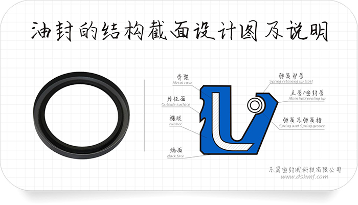 油封的外緣部4種泄漏方式及9條原因分析匯報！油封的唇口10種泄漏原因及26條分析結(jié)果表！